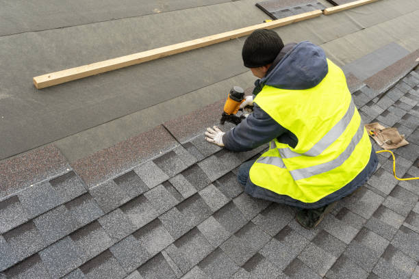 Best Gutter Installation and Roofing  in New Port Richey East, FL