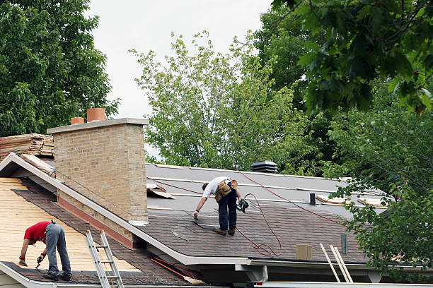 Quick and Trustworthy Emergency Roof Repair Services in New Port Richey East, FL