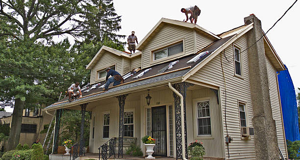 Best Residential Roofing Contractor  in New Port Richey East, FL