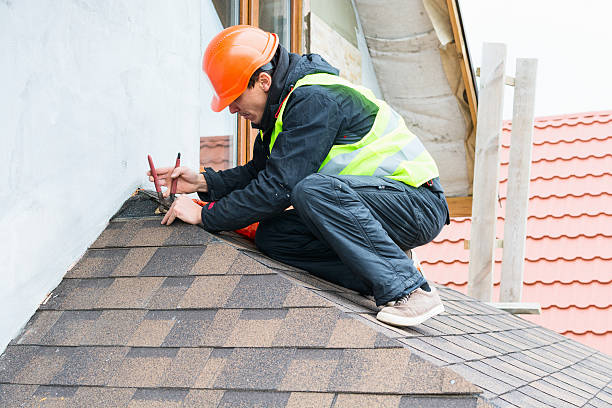 Best Storm Damage Roof Repair  in New Port Richey East, FL